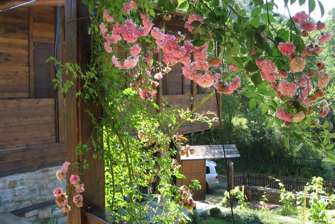 Нови и стари къщи в Боженци