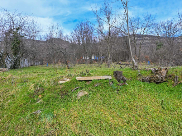 Plot of land with southern exposure