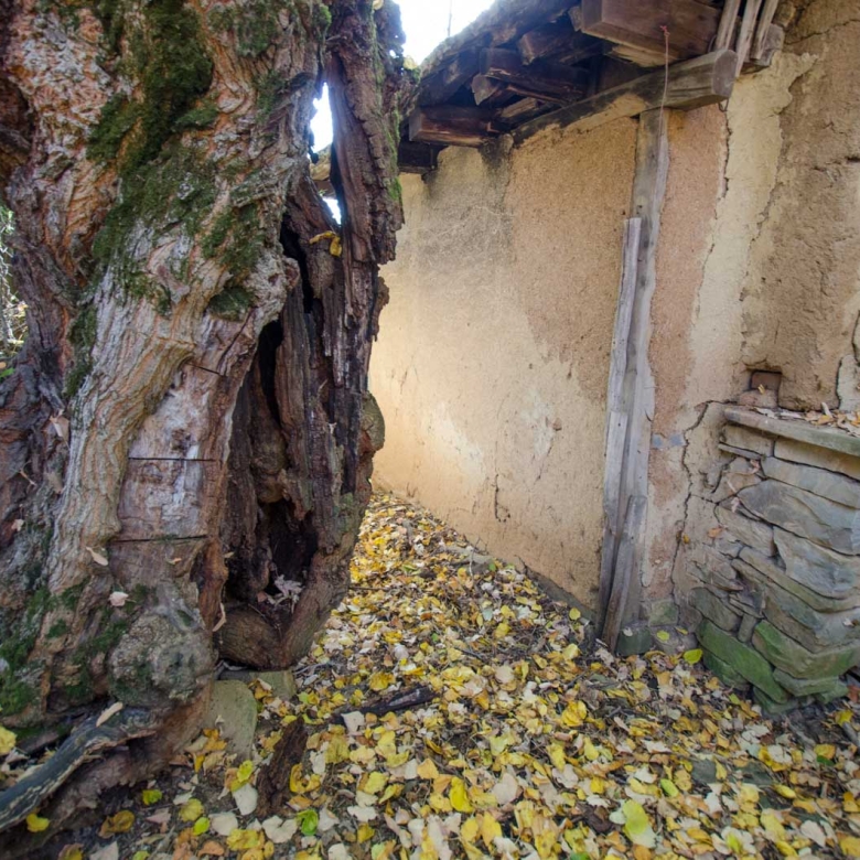 Селски имот с каменни зидове и сгради